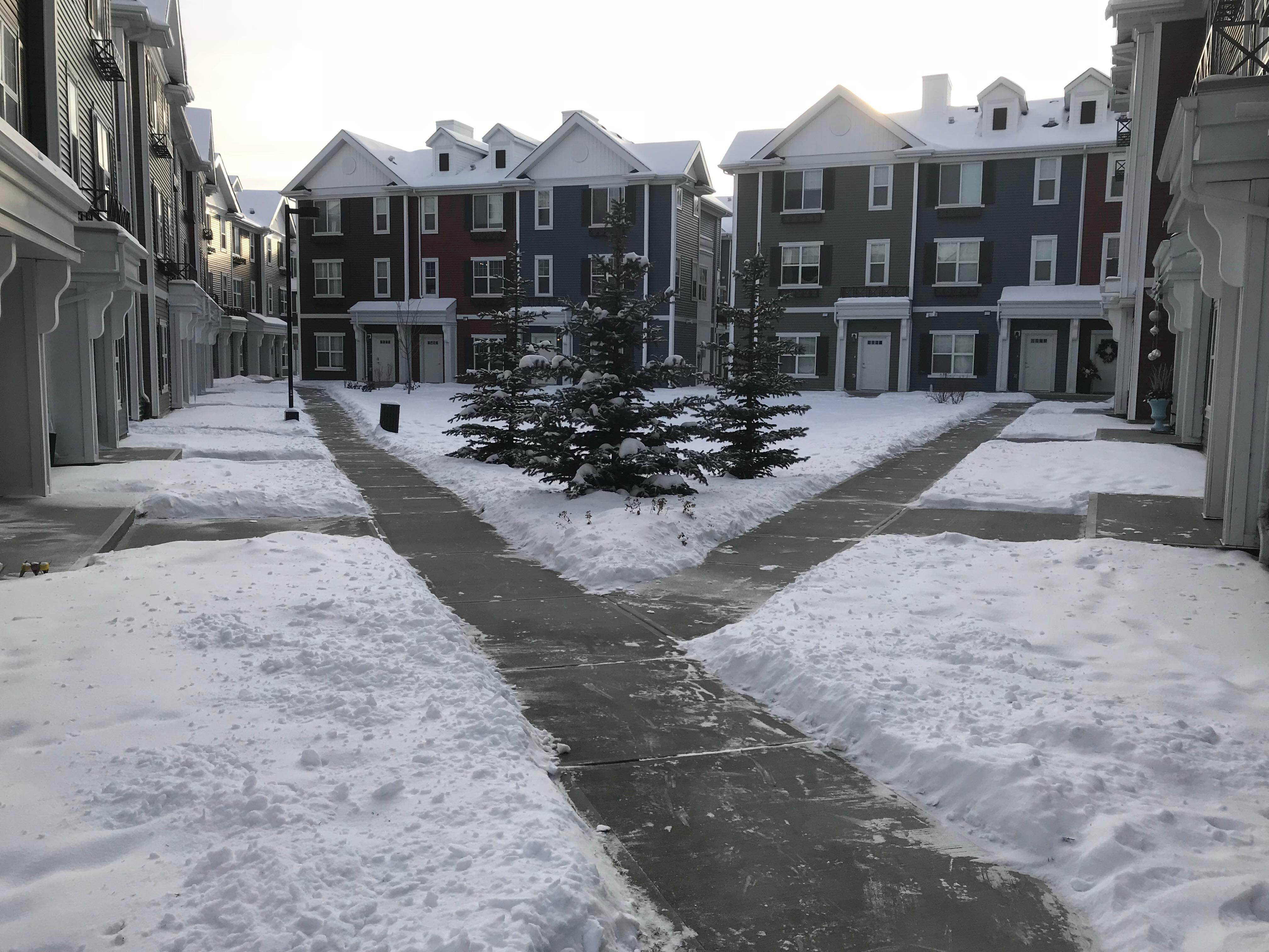 Townhouse courtyard with Y-shaped cleared walkway through heavy snow, early morning